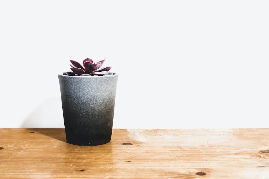 Jakie donice ozdobne do salonu? 5 inspiracji